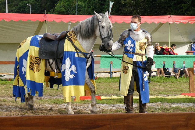 主裁在河南队获单刀时吹停比赛，是因为卡多索回接越位在先